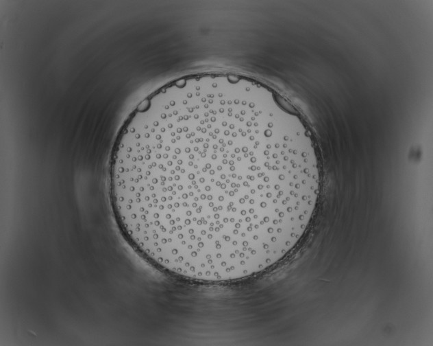 X0000089391239200707131712
