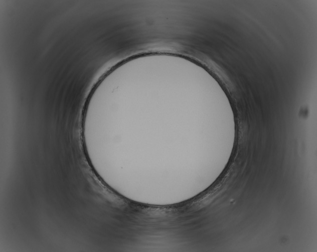 X0000089391240200707131712