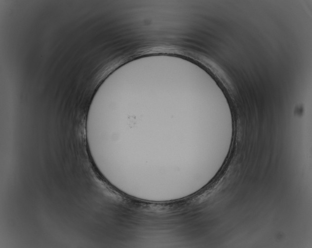 X0000089391241200707131713