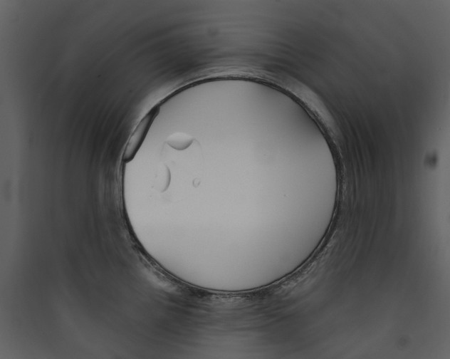 X0000089391242200707131713