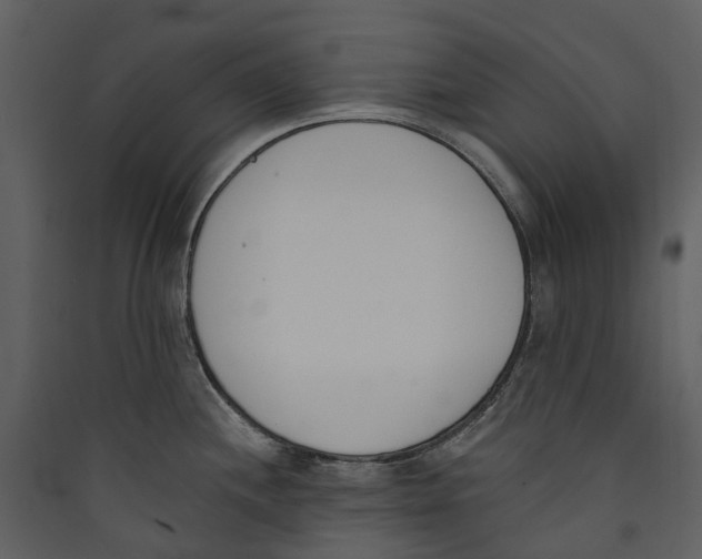 X0000089391244200707131713