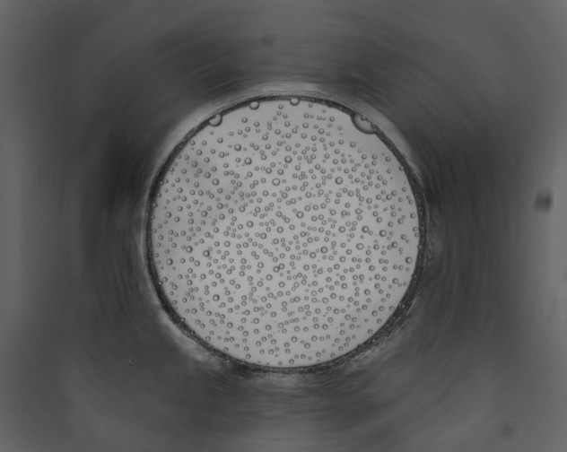 X0000089391245200707131713