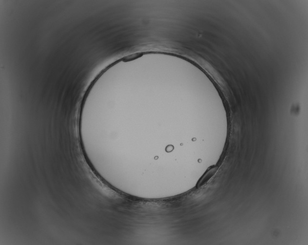 X0000089391246200707131713