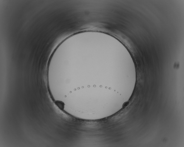 X0000089391247200707131713