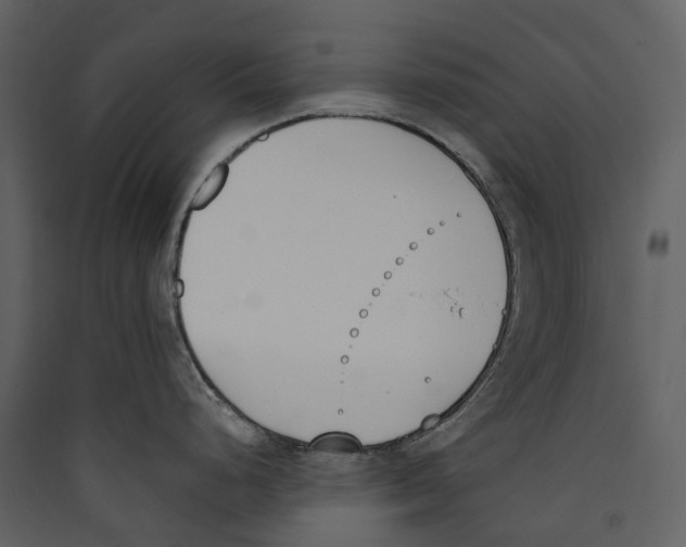 X0000089391248200707131713
