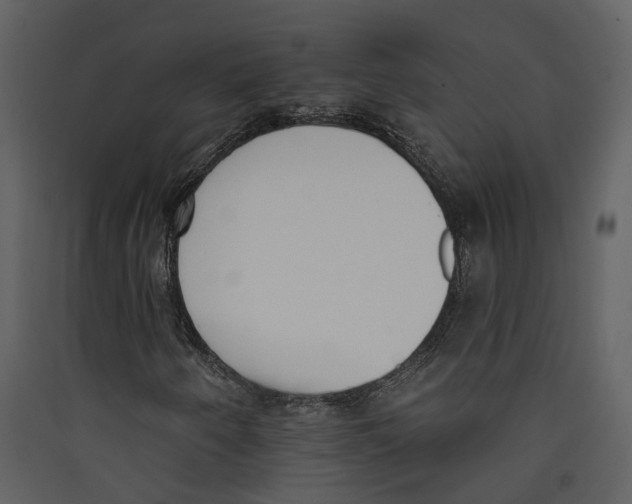 X0000089391250200707131712