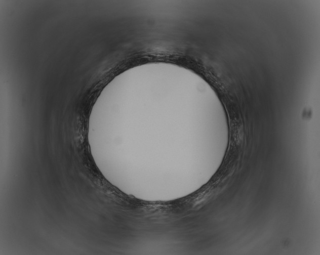 X0000089391253200707131712