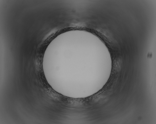 X0000089391254200707131712