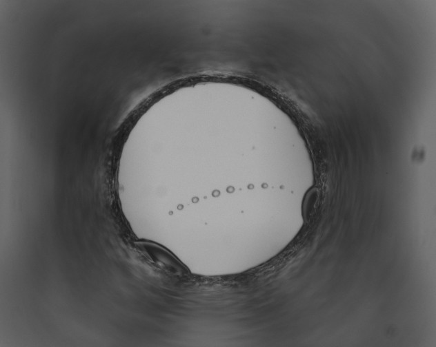 X0000089391256200707131712