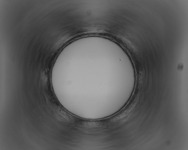 X0000089391257200707131712