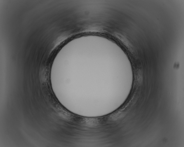 X0000089391258200707131712