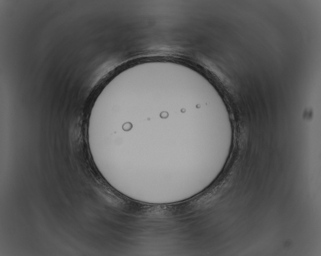 X0000089391259200707131712