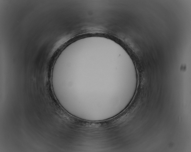 X0000089391261200707131712