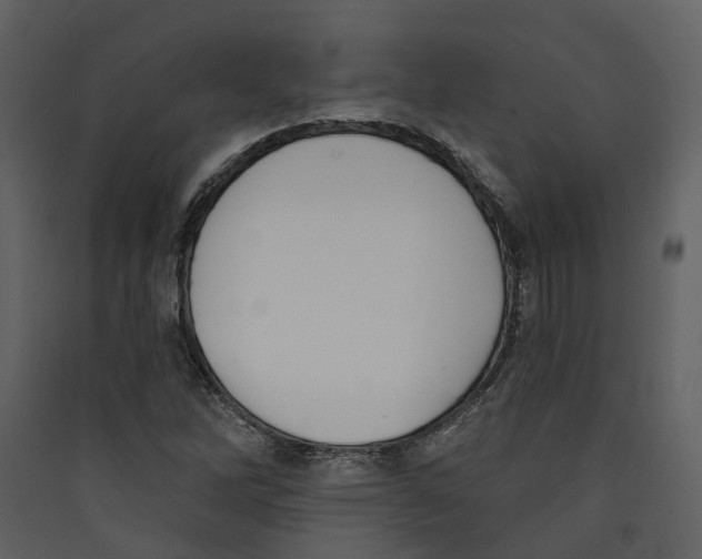 X0000089391262200707131712