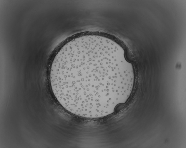 X0000089391263200707131712