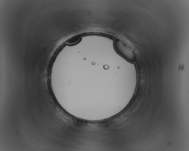 X0000089391264200707131712