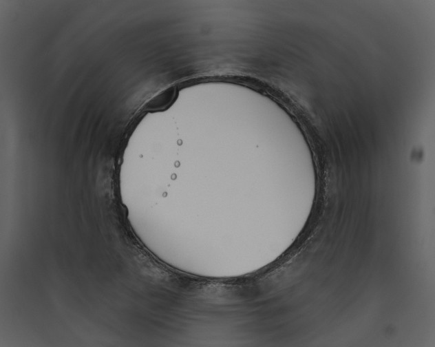 X0000089391265200707131712