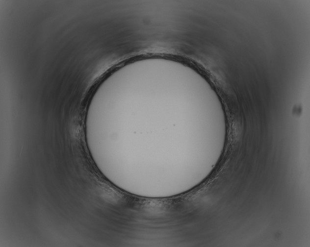 X0000089391266200707131712