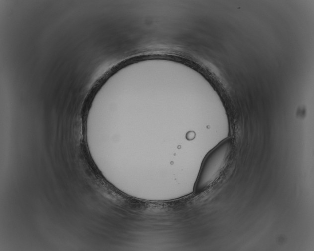 X0000089391267200707131712