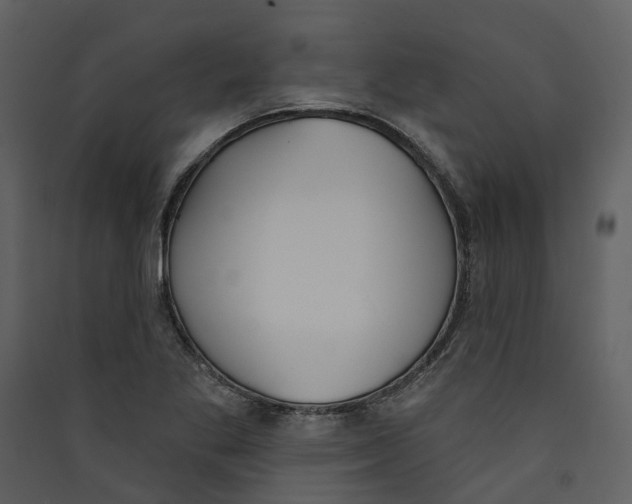 X0000089391269200707131712