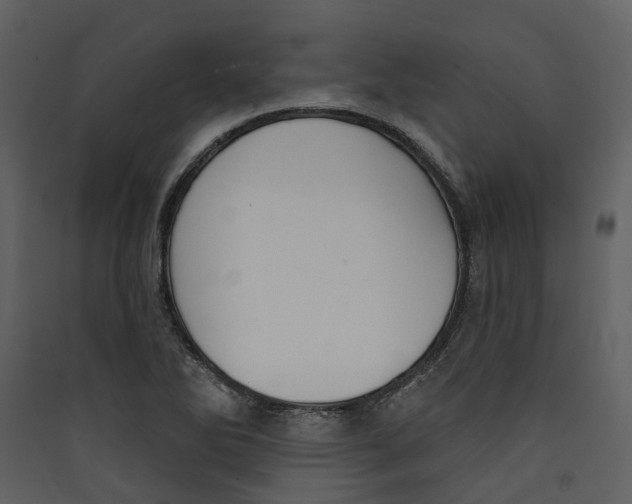X0000089391270200707131712
