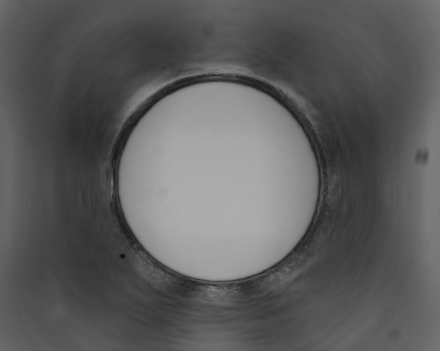 X0000089391271200707131712