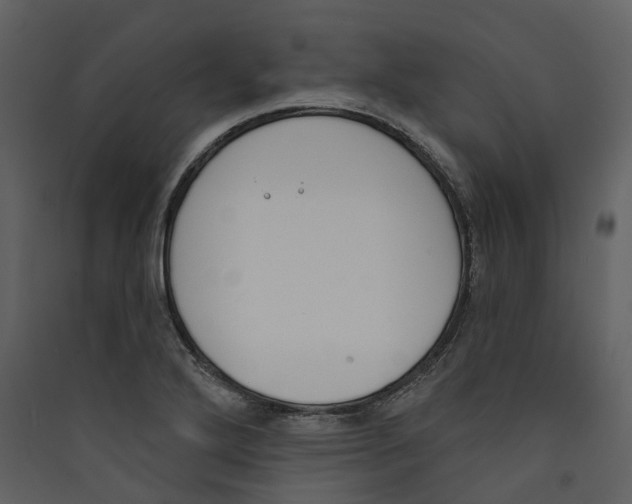 X0000089391272200707131712