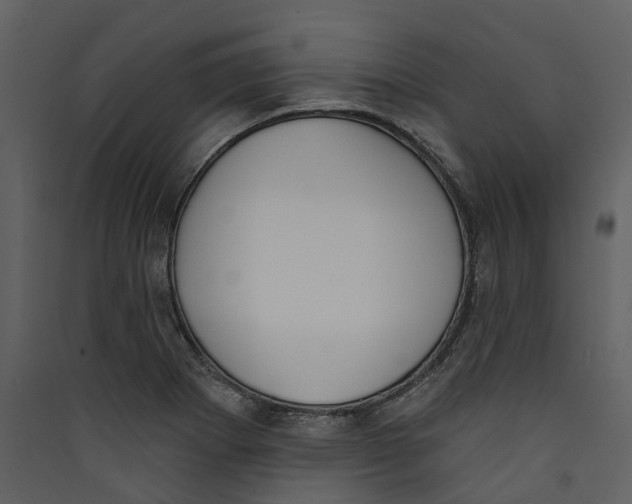 X0000089391273200707131712