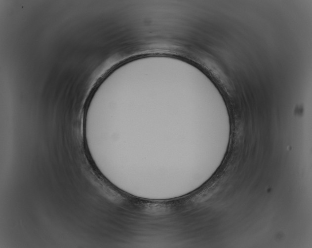 X0000089391275200707131712