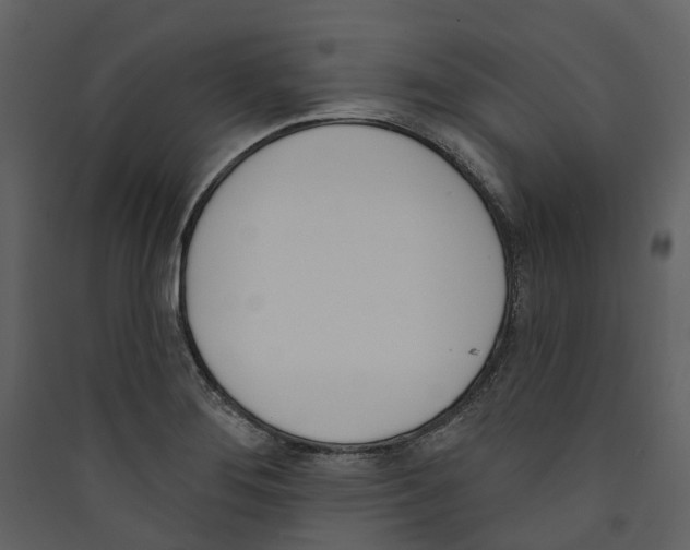X0000089391276200707131712