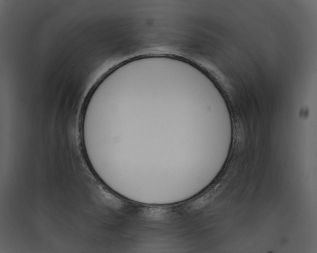 X0000089391278200707131712
