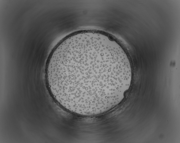 X0000089391279200707131712