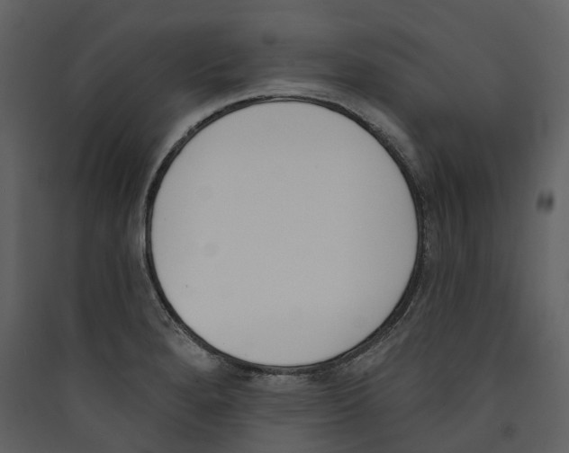 X0000089391280200707131712