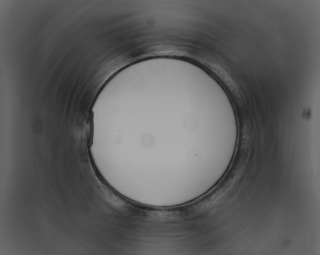 X0000089391281200707131712