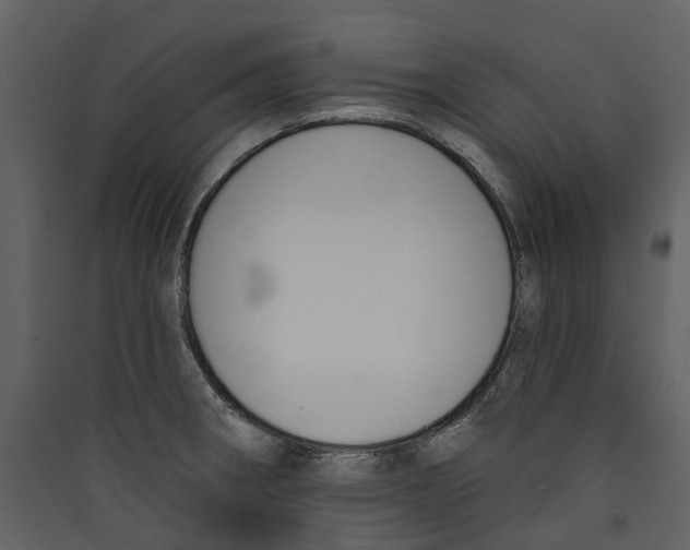 X0000089391282200707131712