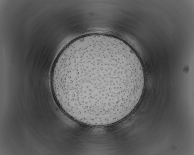 X0000089391283200707131712