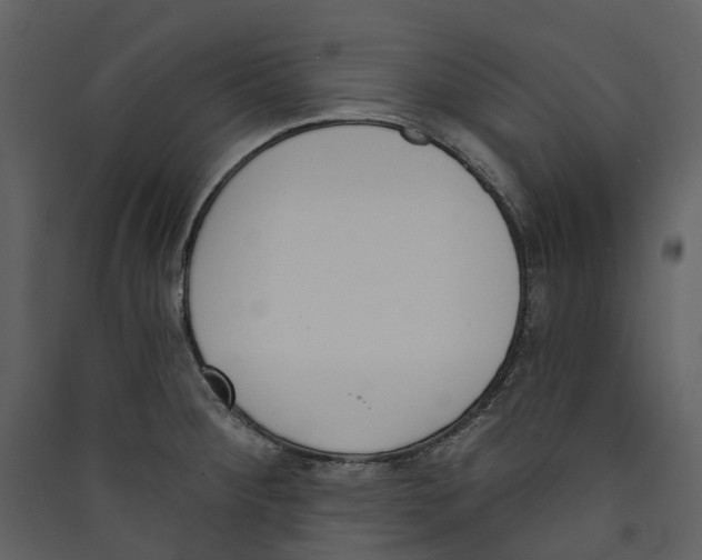 X0000089391284200707131712