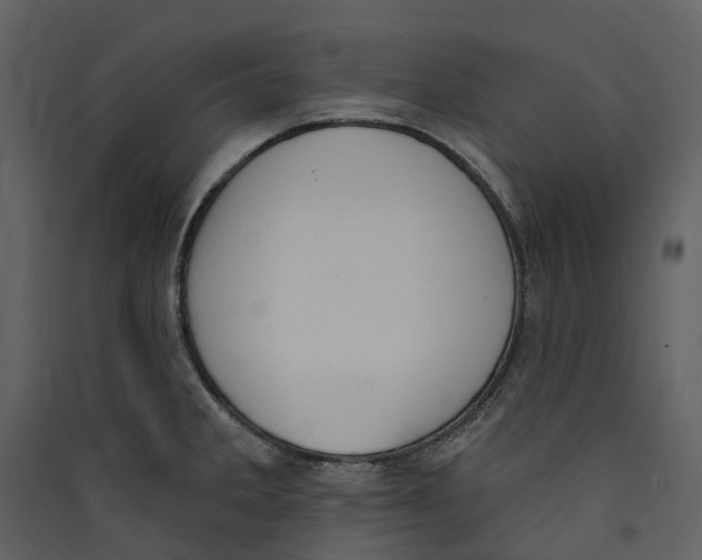 X0000089391285200707131712