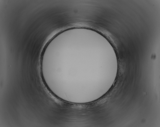 X0000089391286200707131712