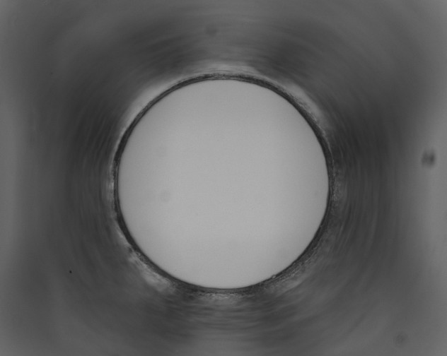X0000089391287200707131712