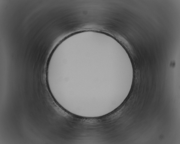 X0000089391288200707131712