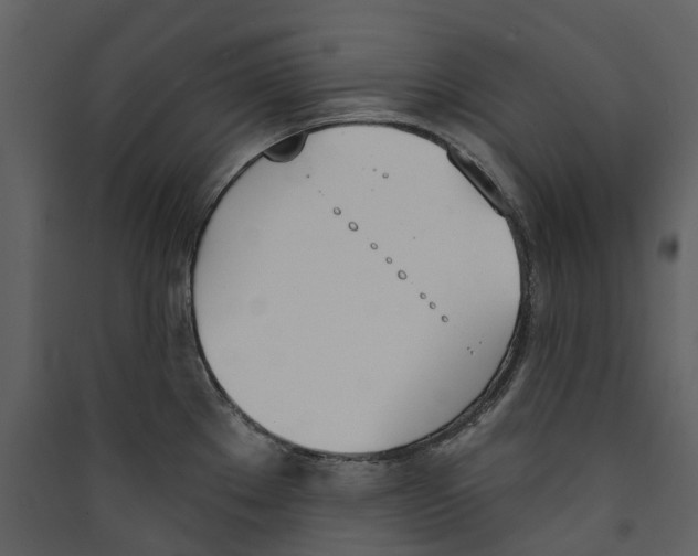 X0000089391289200707131711