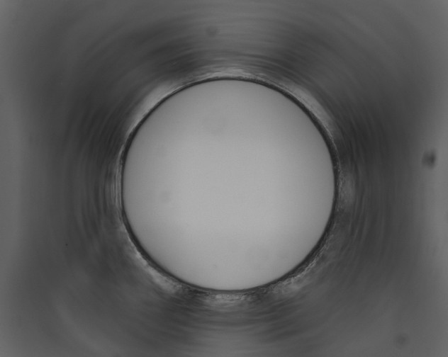 X0000089391290200707131711