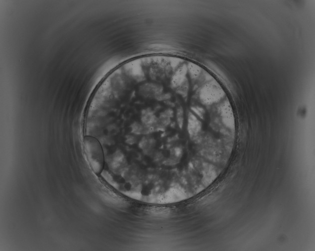 X0000089391291200707131711