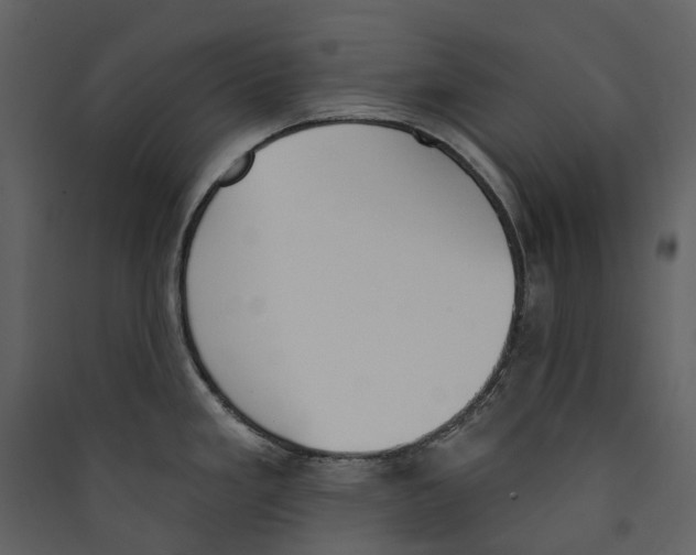 X0000089391293200707131711