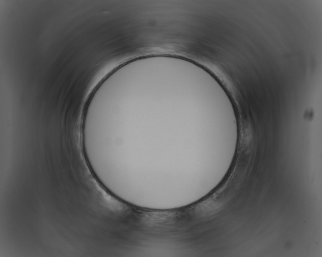 X0000089391294200707131711