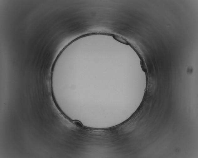 X0000089391295200707131711