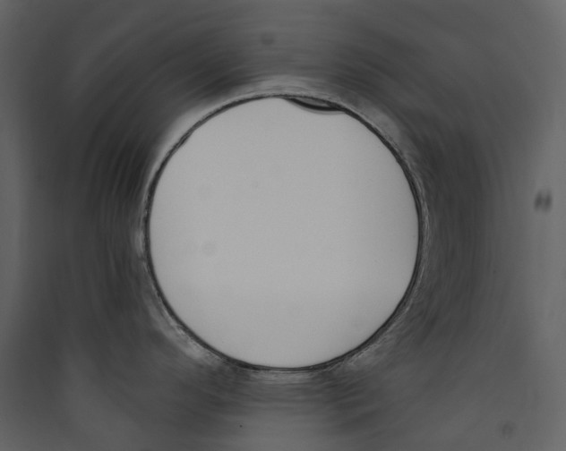 X0000089391296200707131711
