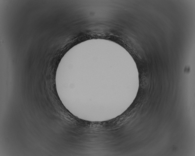 X0000089391297200707131711