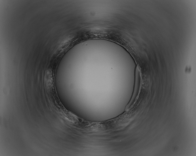X0000089391298200707131711